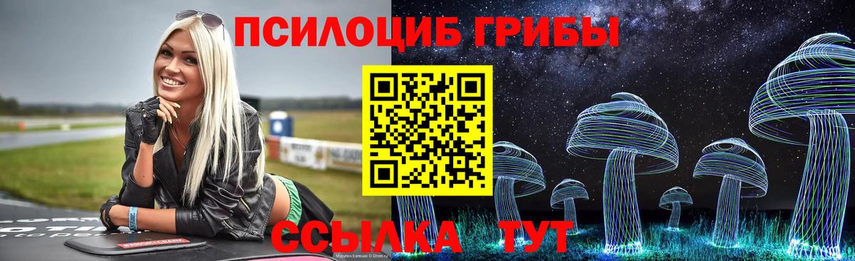 Новоуральск  Галлюциногенные грибы Psilocybe  Галлюциногенные грибы Psilocybe  Вход с VPN 